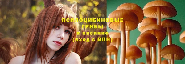 spice Абдулино